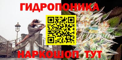 прущие грибы Конаково